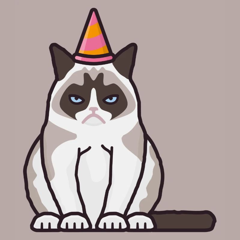 Grumpy, grim cat with party hat
