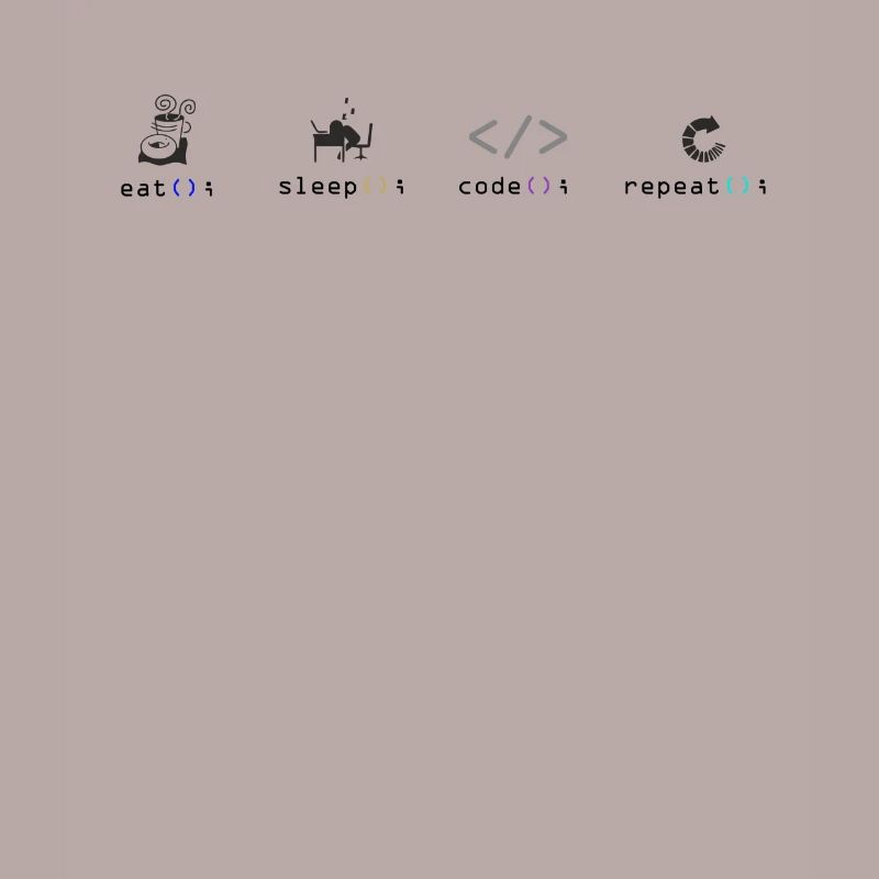 programmer