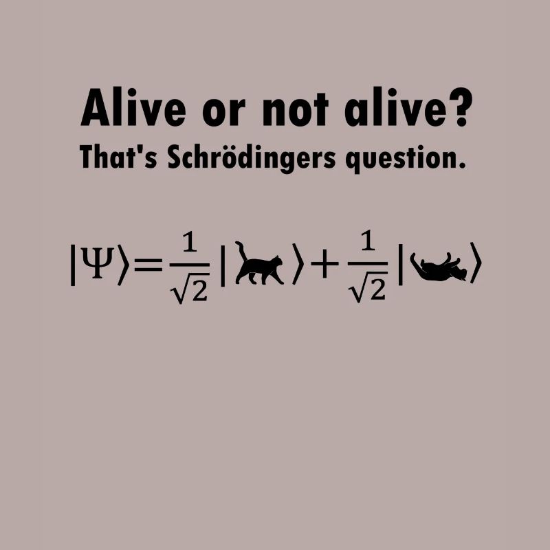 Schrödinger's Cat - Physicist Gift Physics Nerd