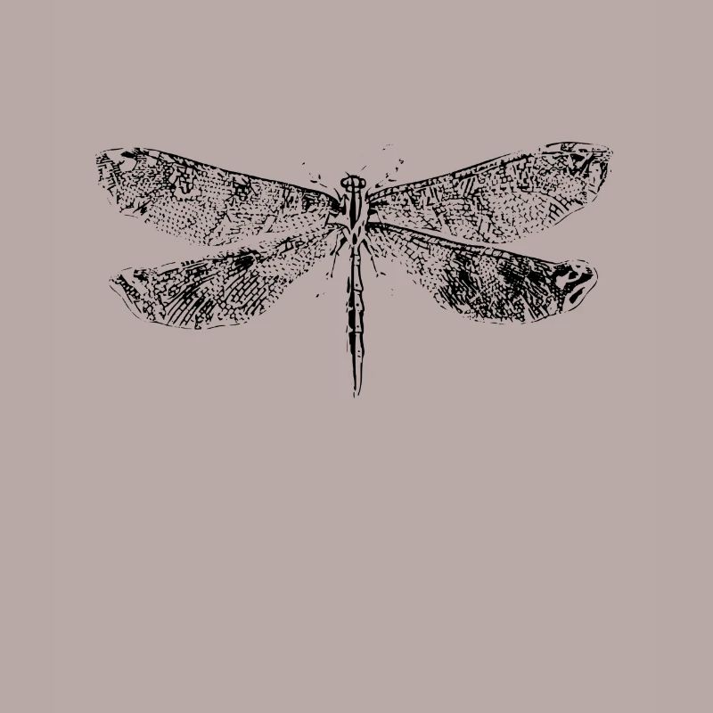 Libellule