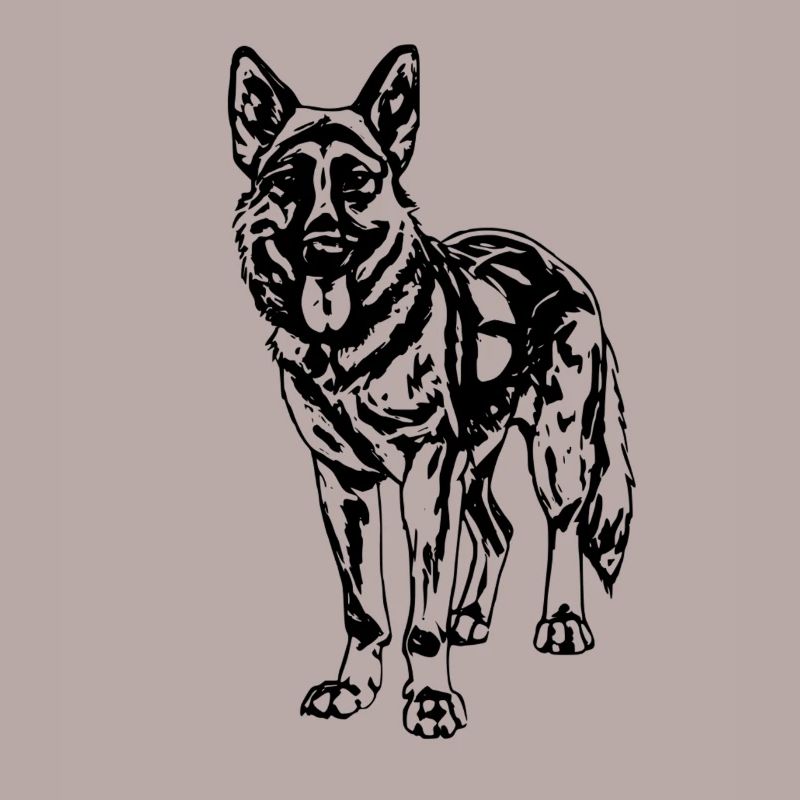 German Shepherd