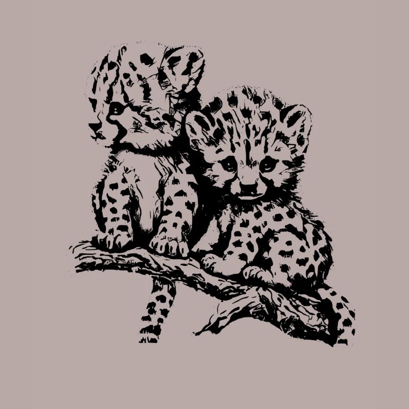 Guépard