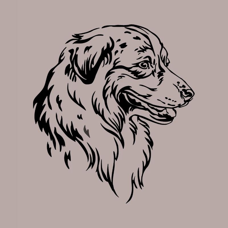 Australian Shepherd