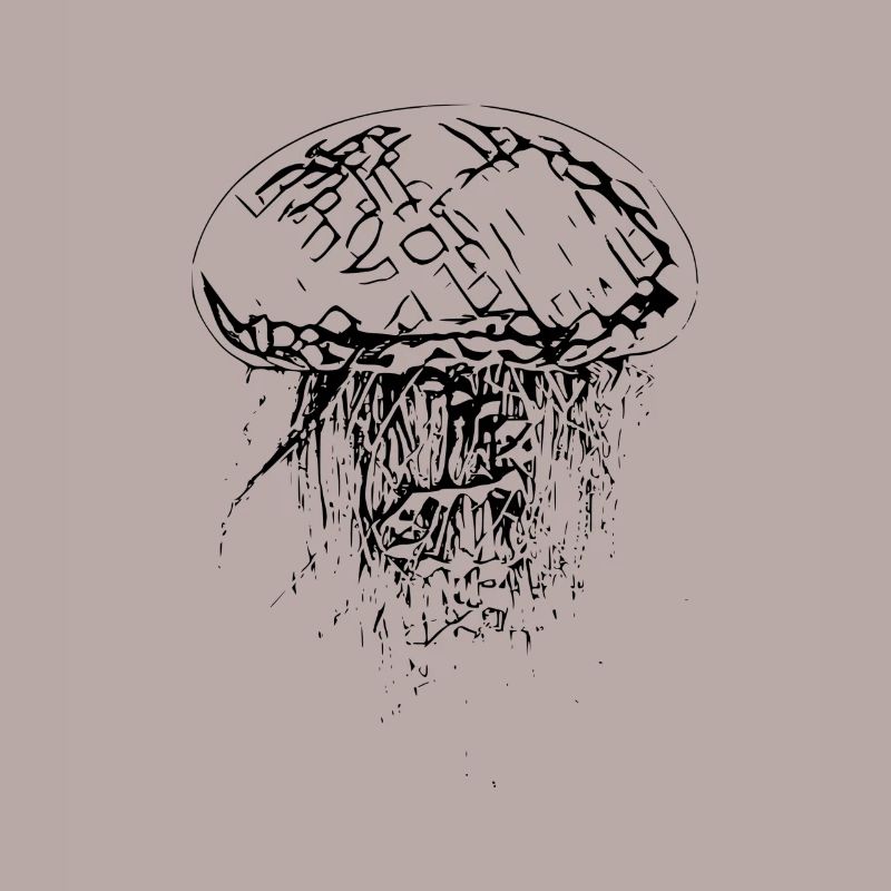 Jellyfish