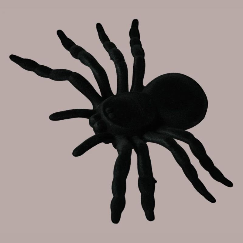 Spider Web, Spider Web, Spider Phobia, Disgusting Gift