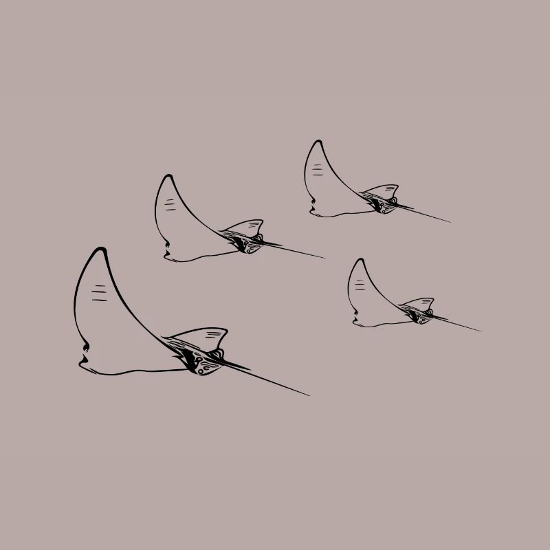 Formation de vol Eagle Ray