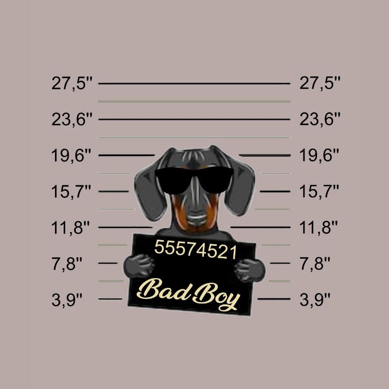 Bad Boy Dackel oder junger Dobermann - Böser Hund