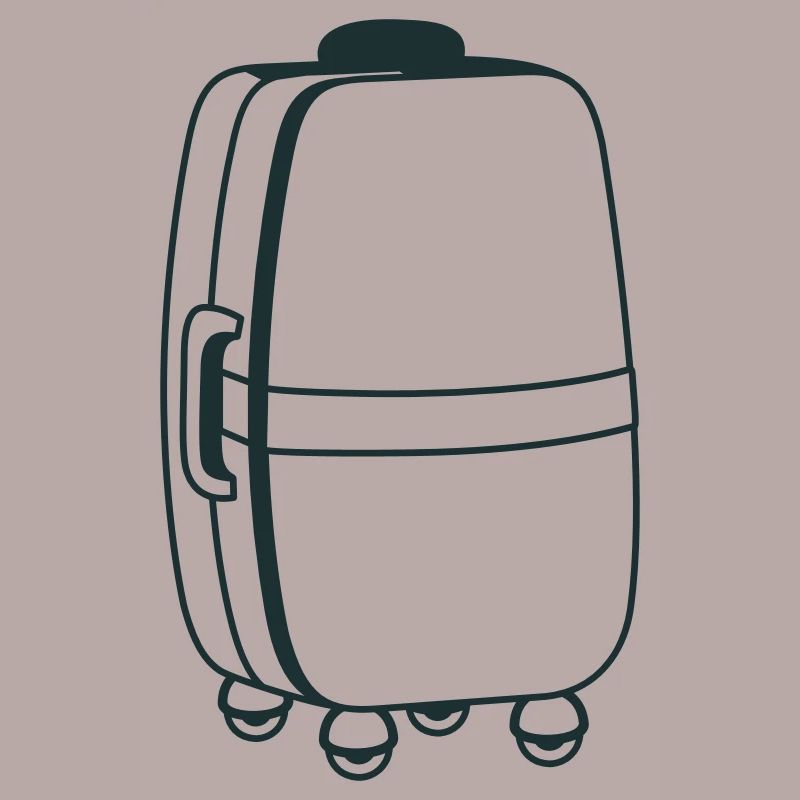 Big roller suitcase