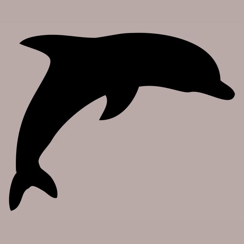 dolphin
