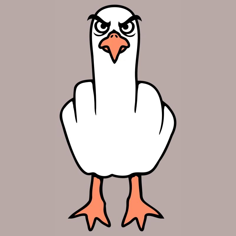 Möwe Mittelfinger Beleidigung Stinkefinger frech