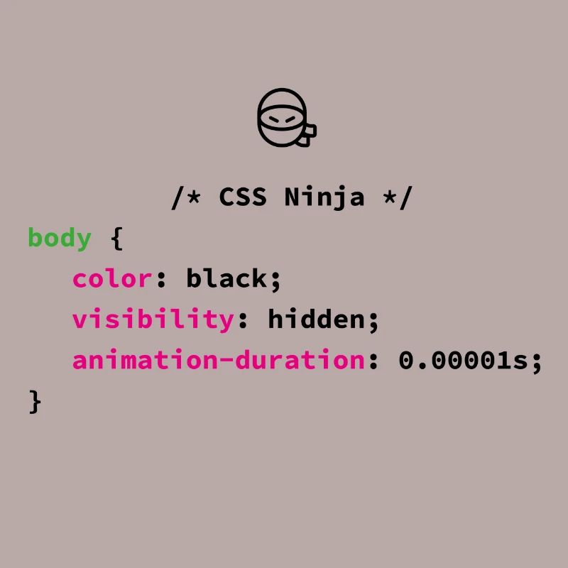 CSS Ninja