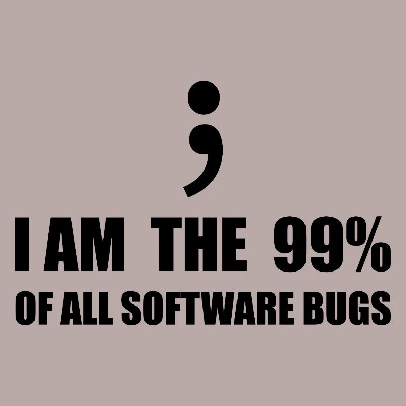 Programmeur Computer Scientist