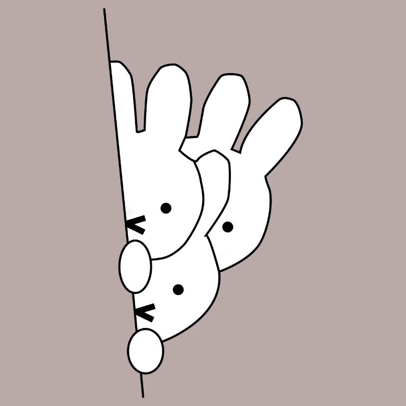 rabbit