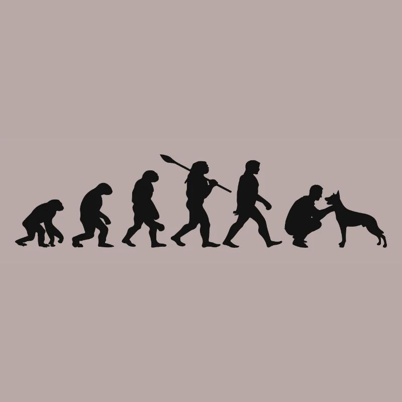 Evolution Funny Belgian Shepherd Dog Malinois