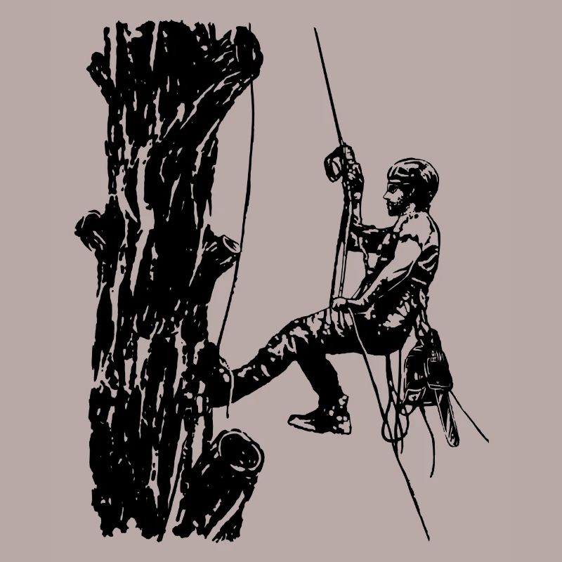 Arborist Baumkletterer an Eiche (Monochrome)