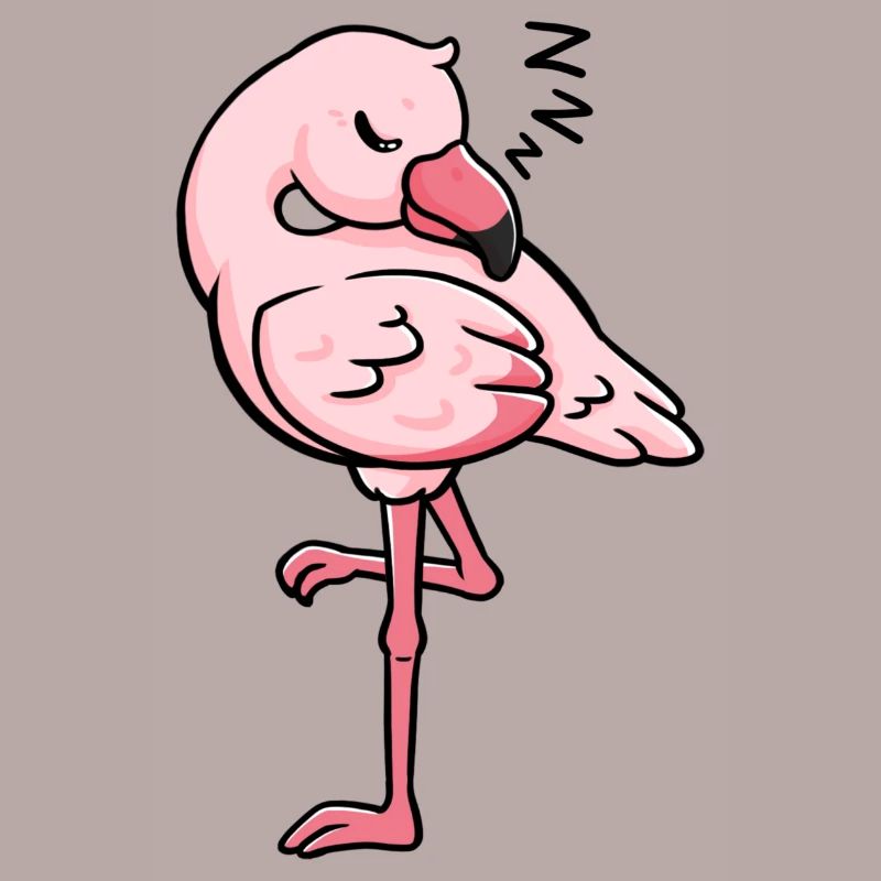 Flamingo schlafend Geschenkidee