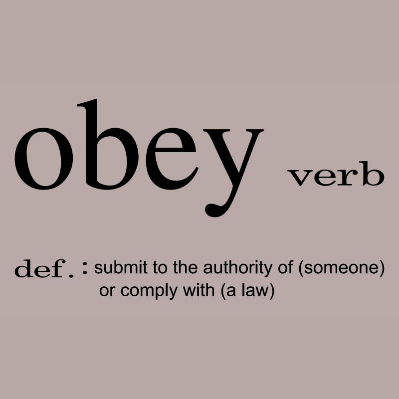 Dictionary obey dictionary gift idea funny