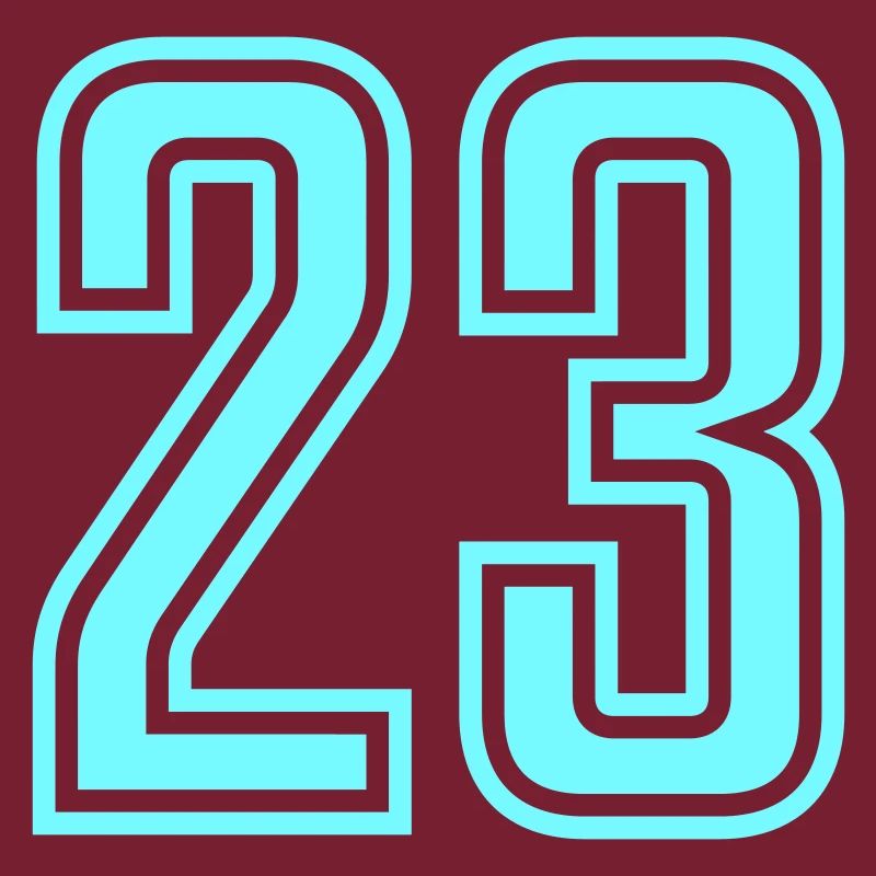 23