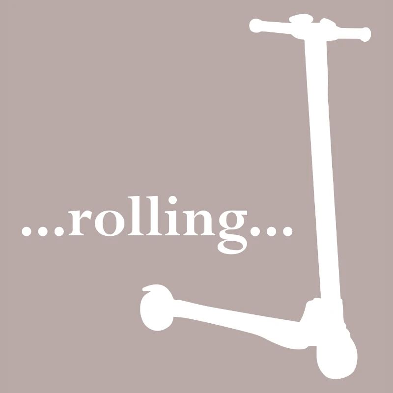 E-Scooter Roller Scooter