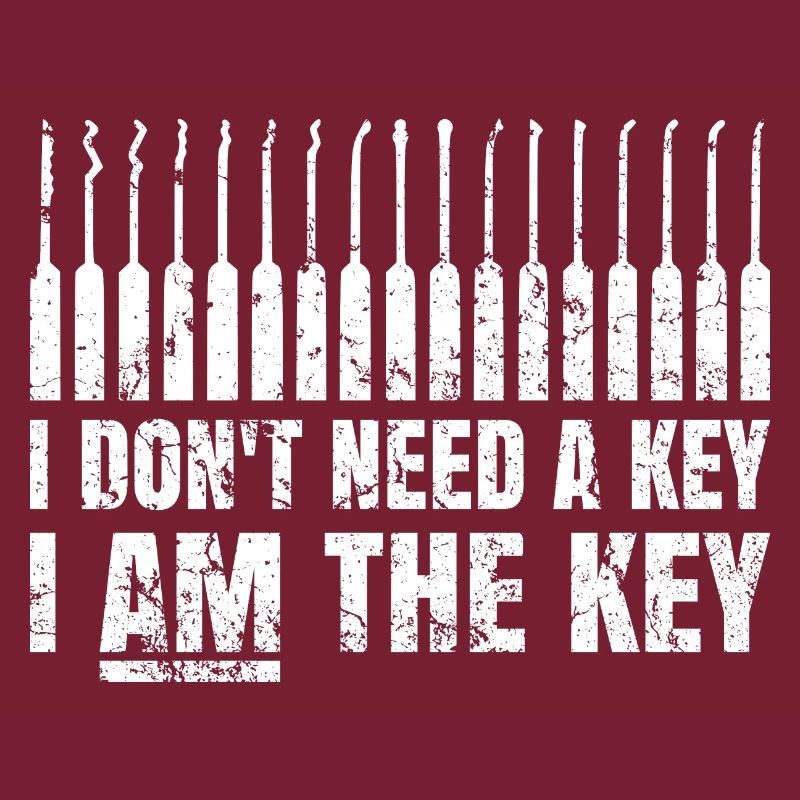 Lockpicking Lock Picking Tool