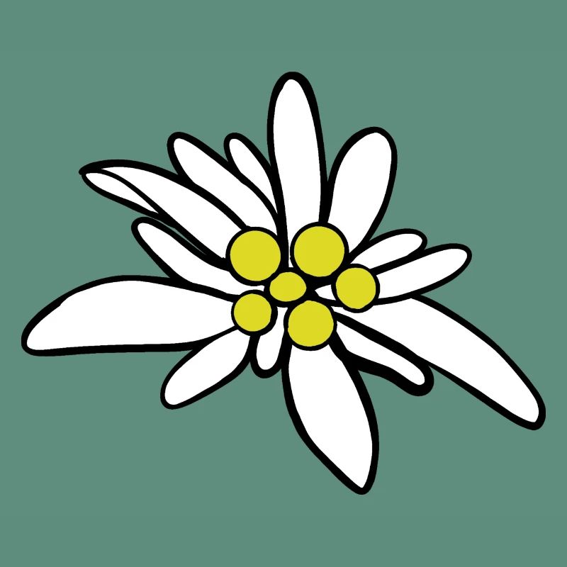 Edelweiß 1