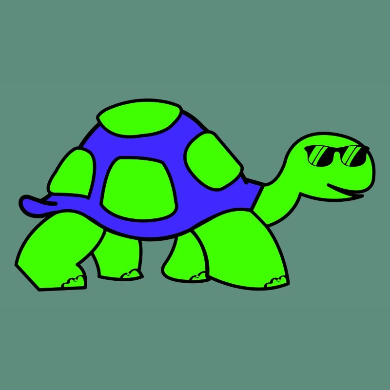 cool turtle