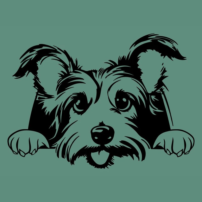 Kleiner Terrier