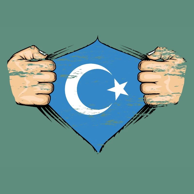 Design de drapeau ouïghour utilisé