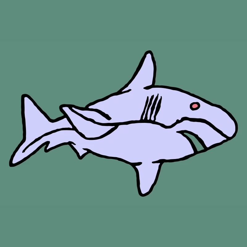 Poisson Requin Prédateur Eau Graffiti Océan