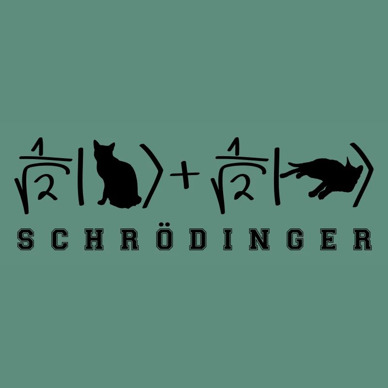Chat de Schrödinger