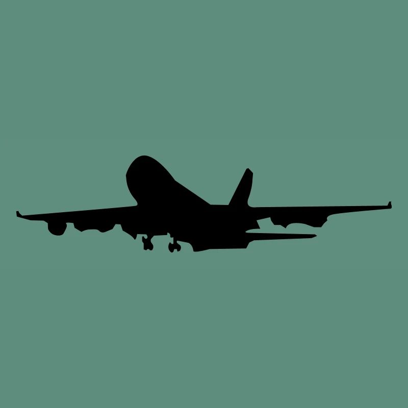 airplane_takeoff