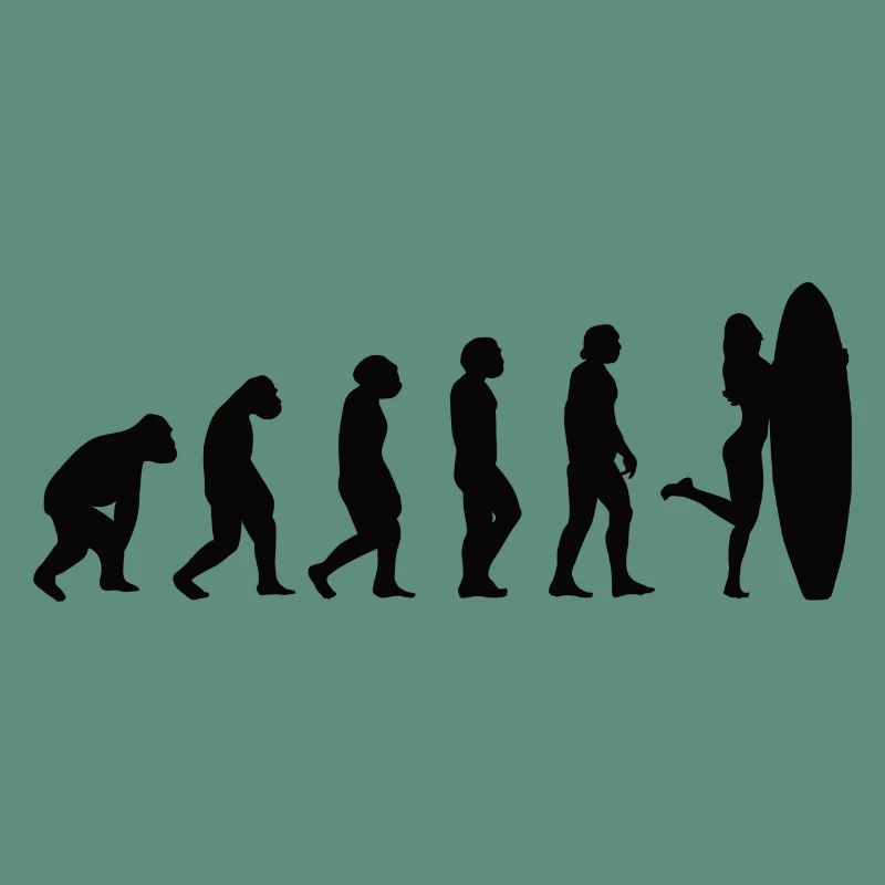 Surfer Surfboard Surf Evolution Surf
