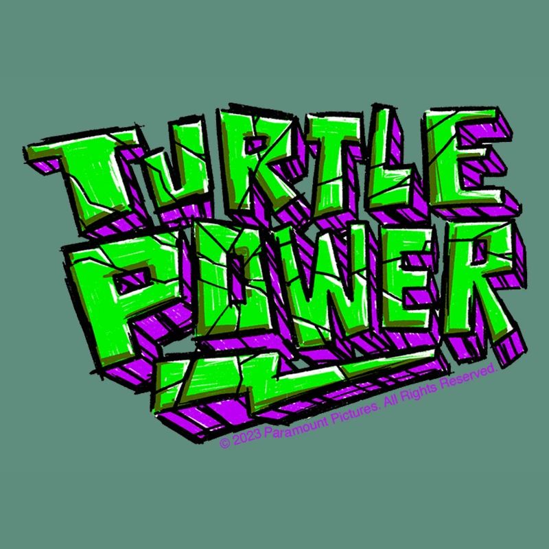 TMNT Mutant Mayhem Turtle Power With Flash