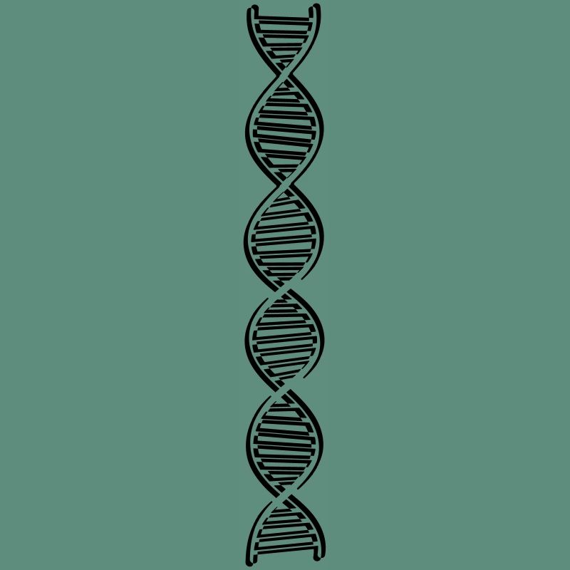 research dna dns genome gene science knowledge c