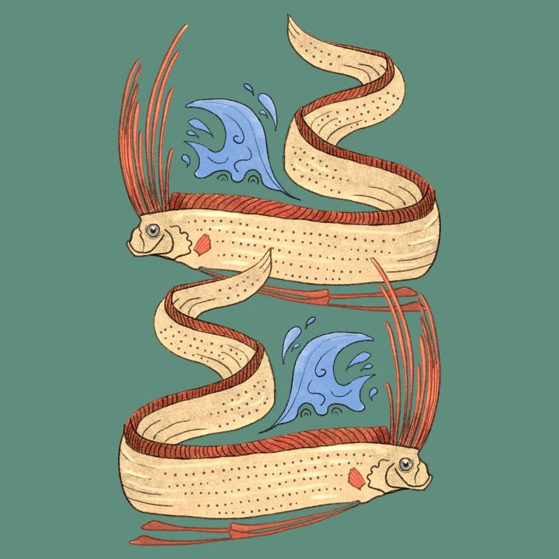 Strapfish (Sang-de-S