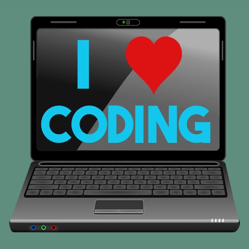 Programmation, programmeurs, informaticiens