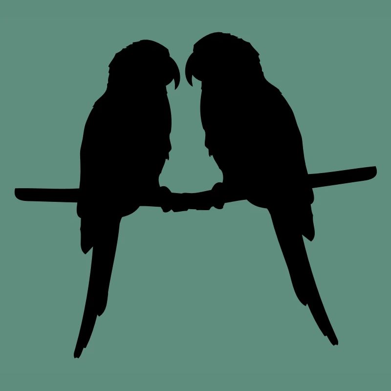Perroquets quelques oiseaux