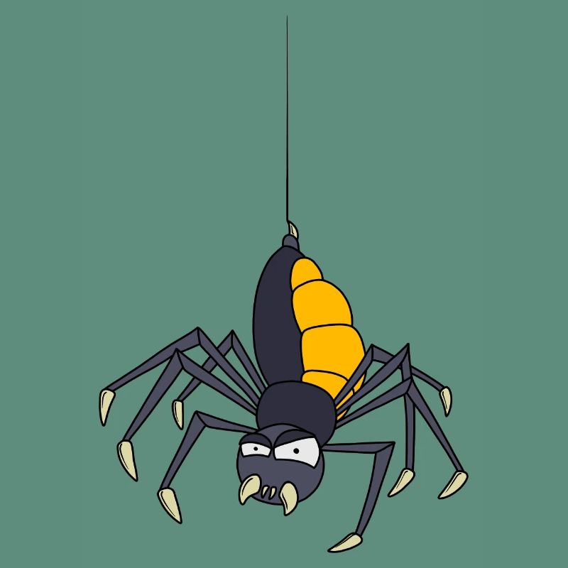 Spinne