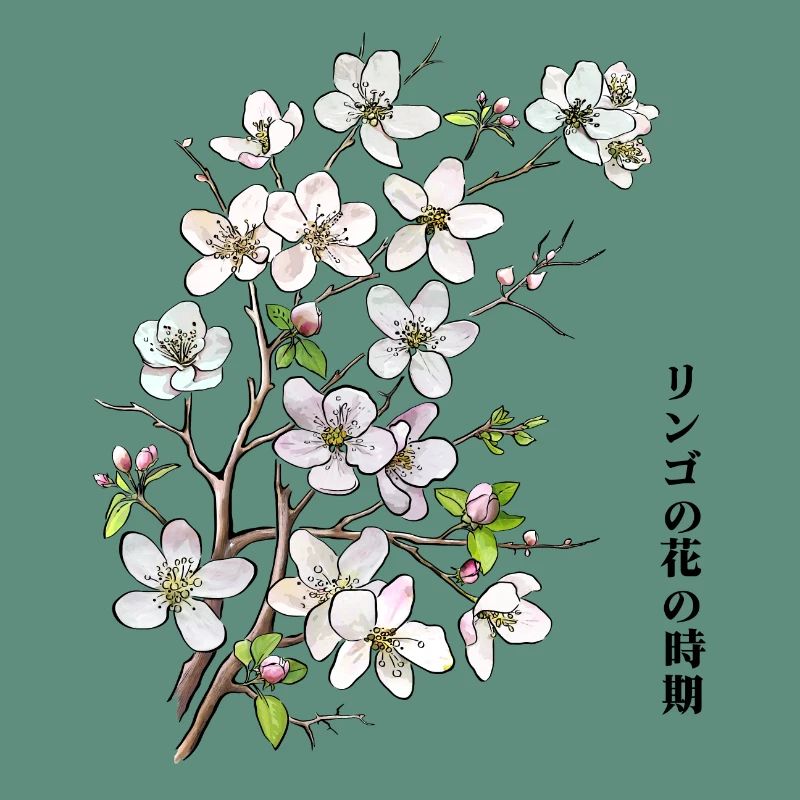 Fleurs de pommier