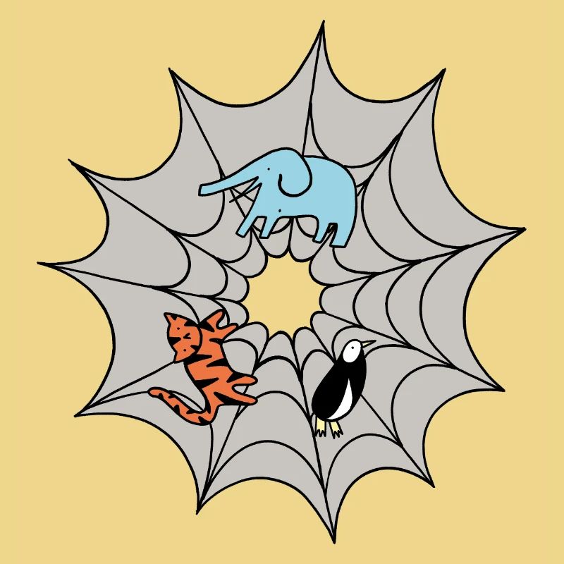 Spinnennetz 