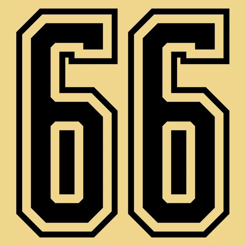 66 digit number