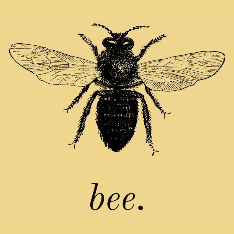 Bee.