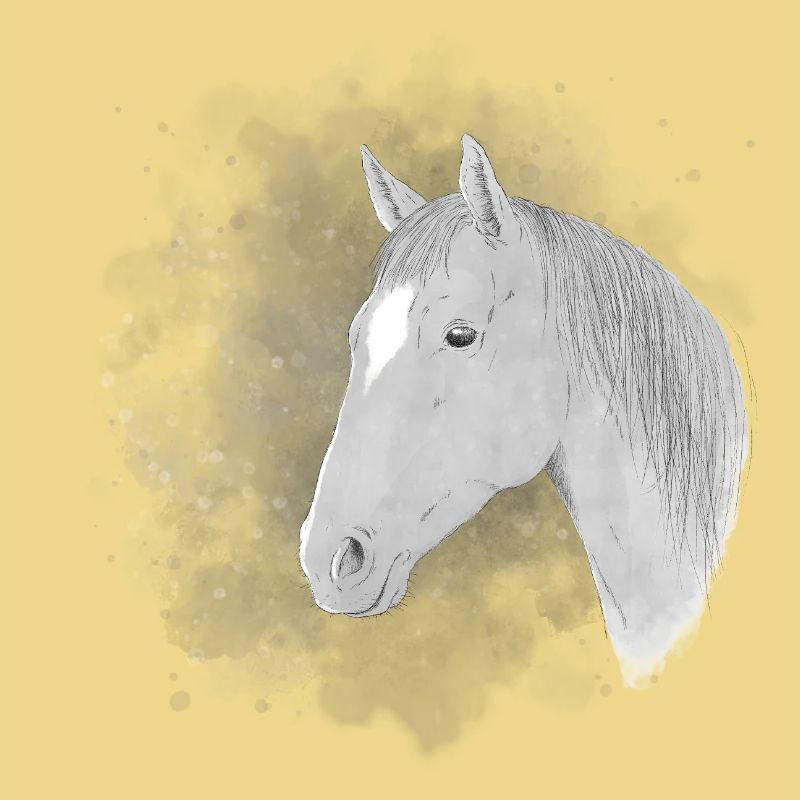 Pferd