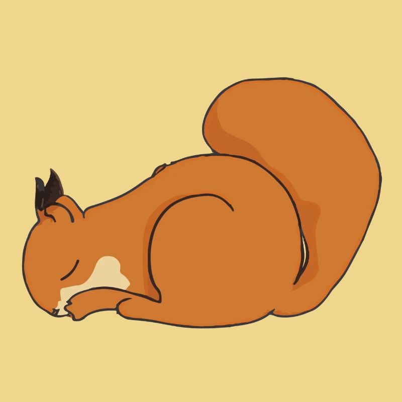 Sleeping Squirrel Gift Idea Pyjamas