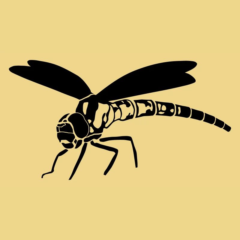libellule