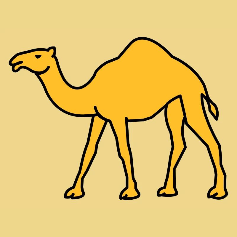 kamel_02