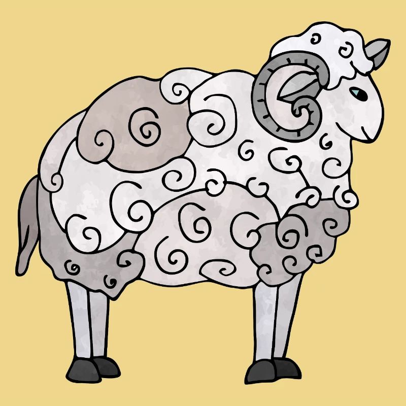 Widder