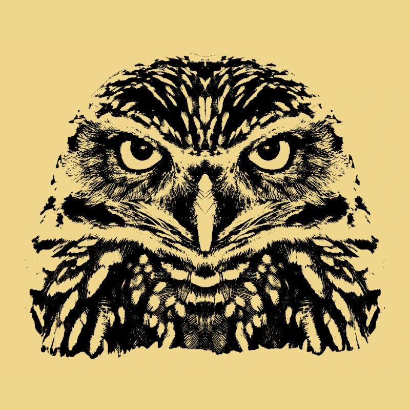 Die Eule / The Owl