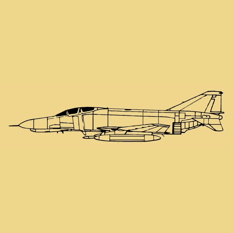 phantom_vec_1 fr