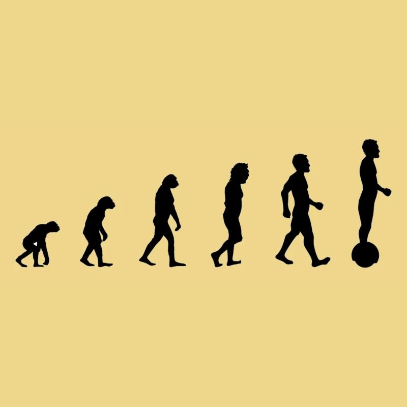 Gyroroue Evolution